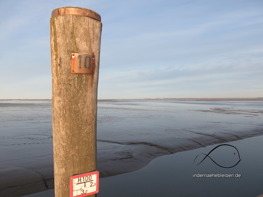 Wattenmeer