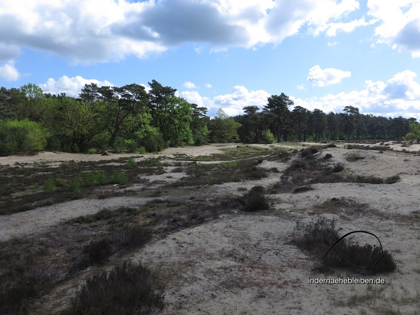 Holmer Sandberge
