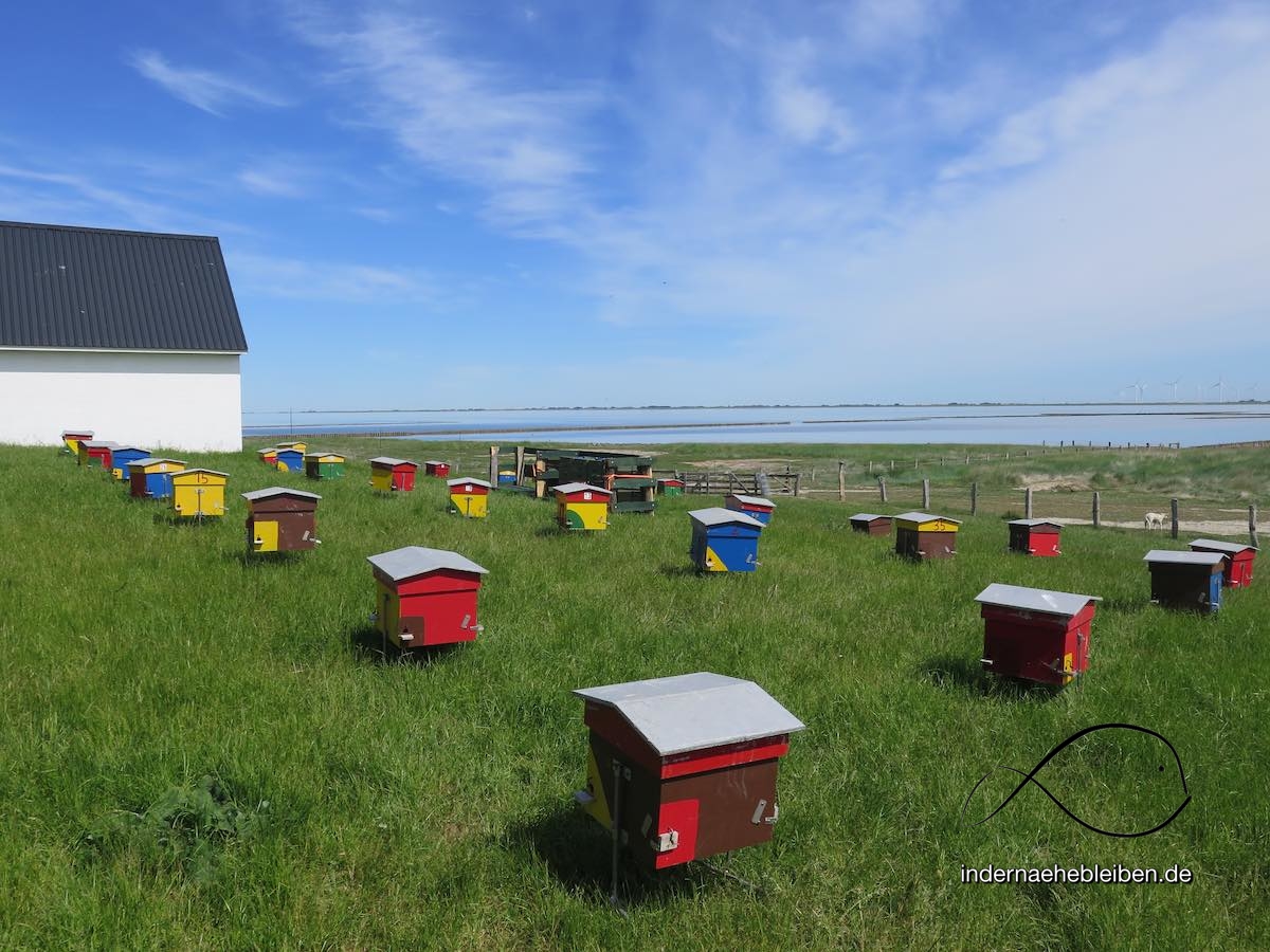 Hamburger Hallig