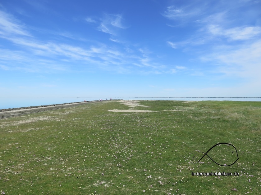 Hamburger Hallig