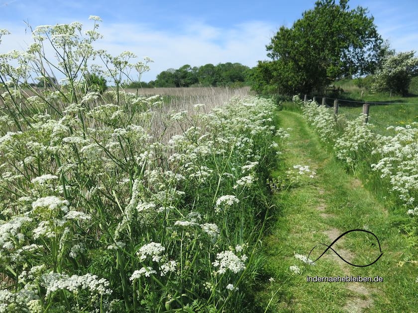 Noldeweg
