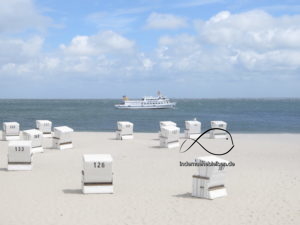 Adler Schiffe Hoernum