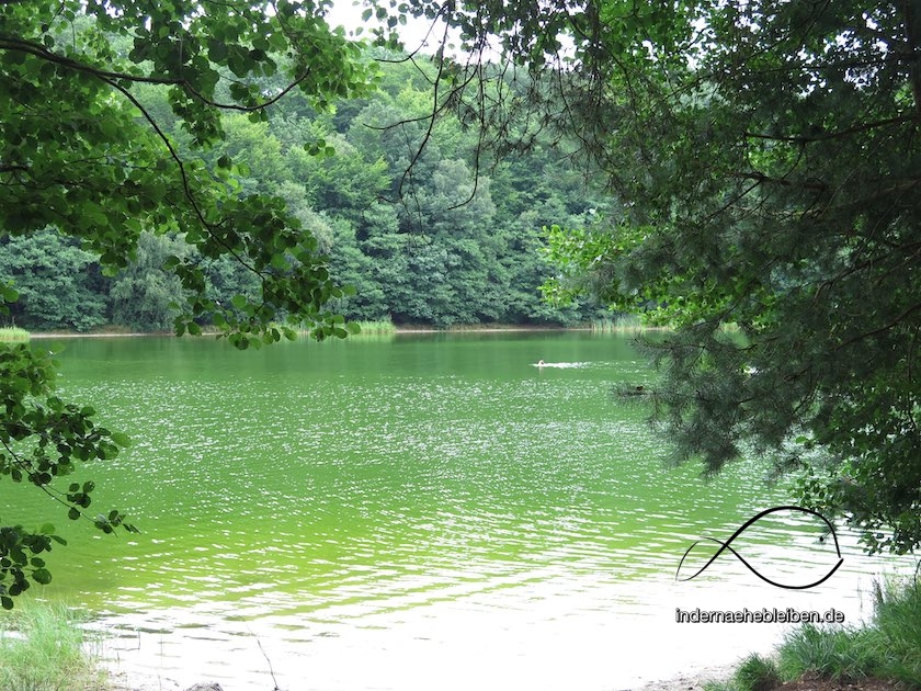 Pinnsee