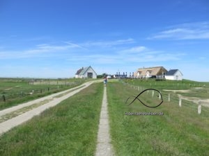 Hamburger Hallig
