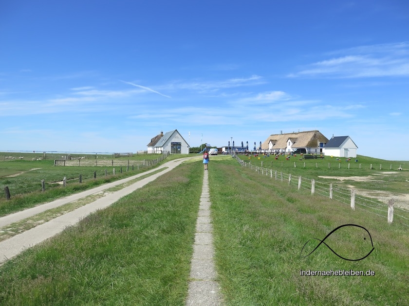 Hamburger Hallig