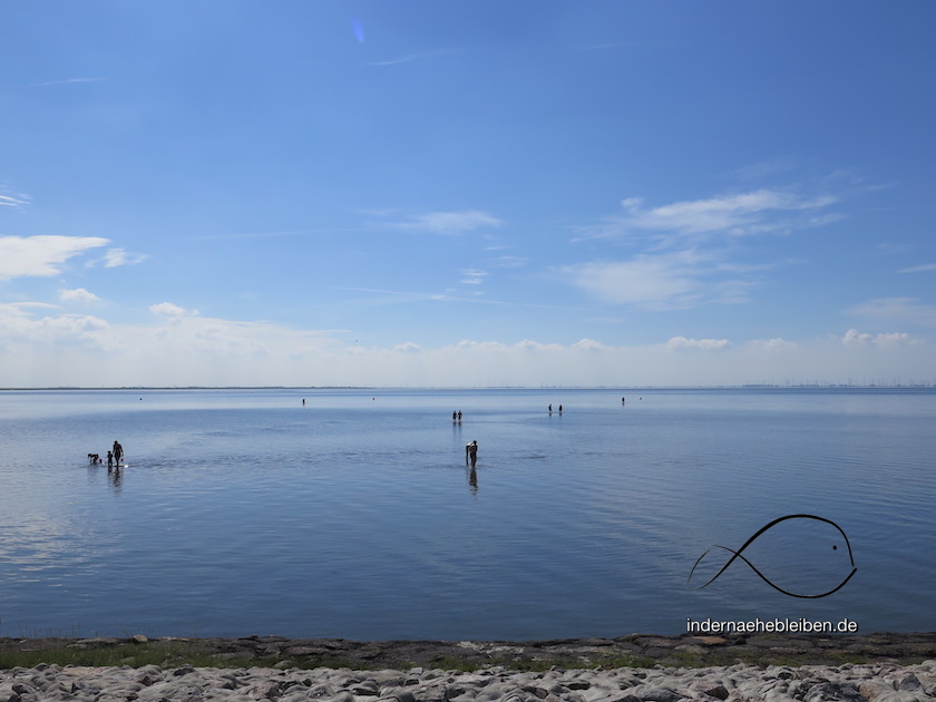 Meldorfer Bucht