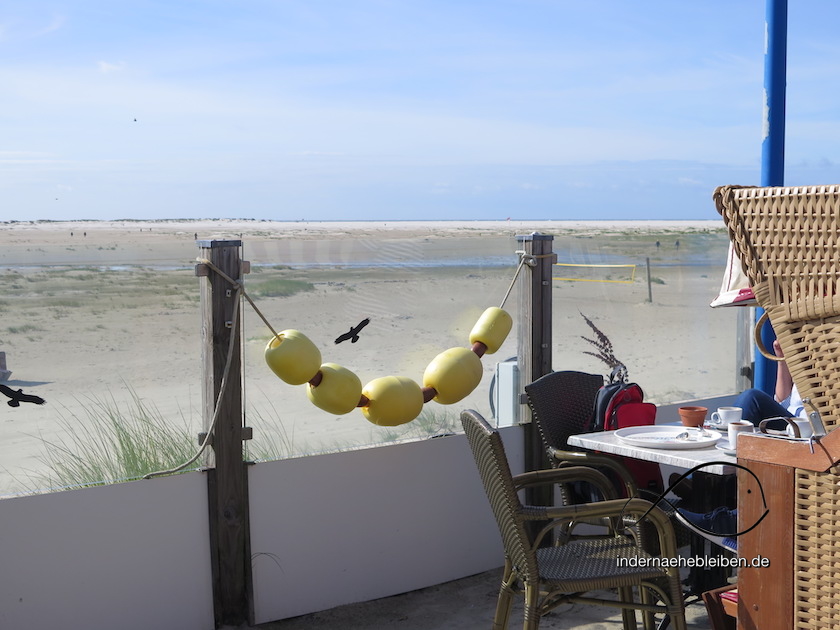 Strandbar Seehund