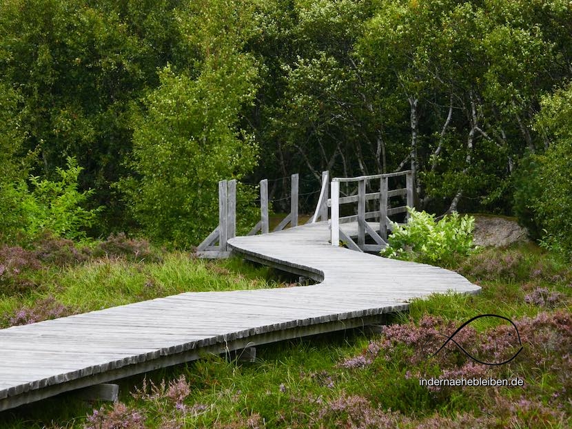 Vogelkoje Amrum