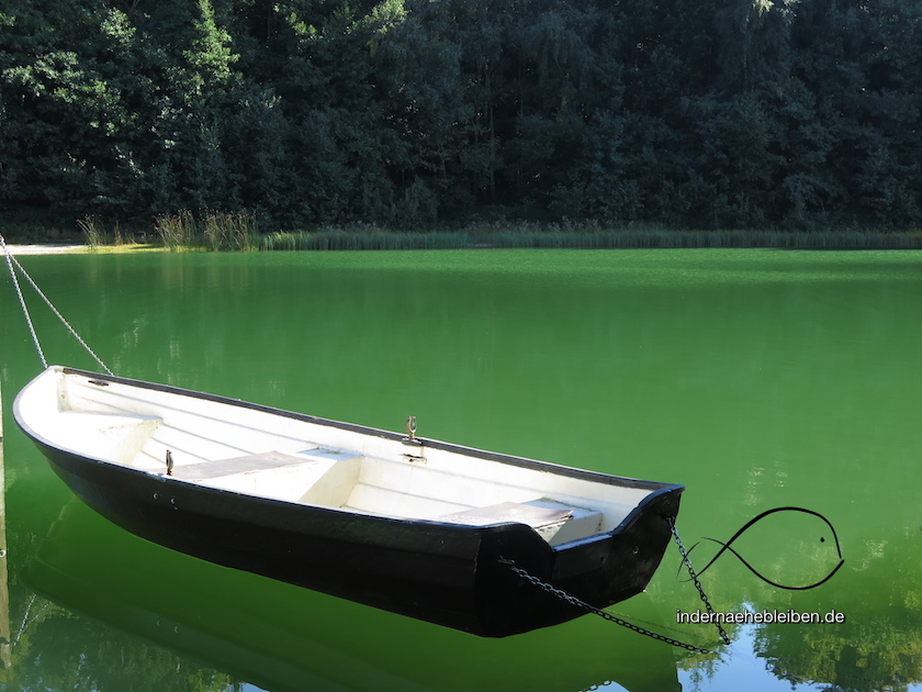 Waldsee Ratzeburg