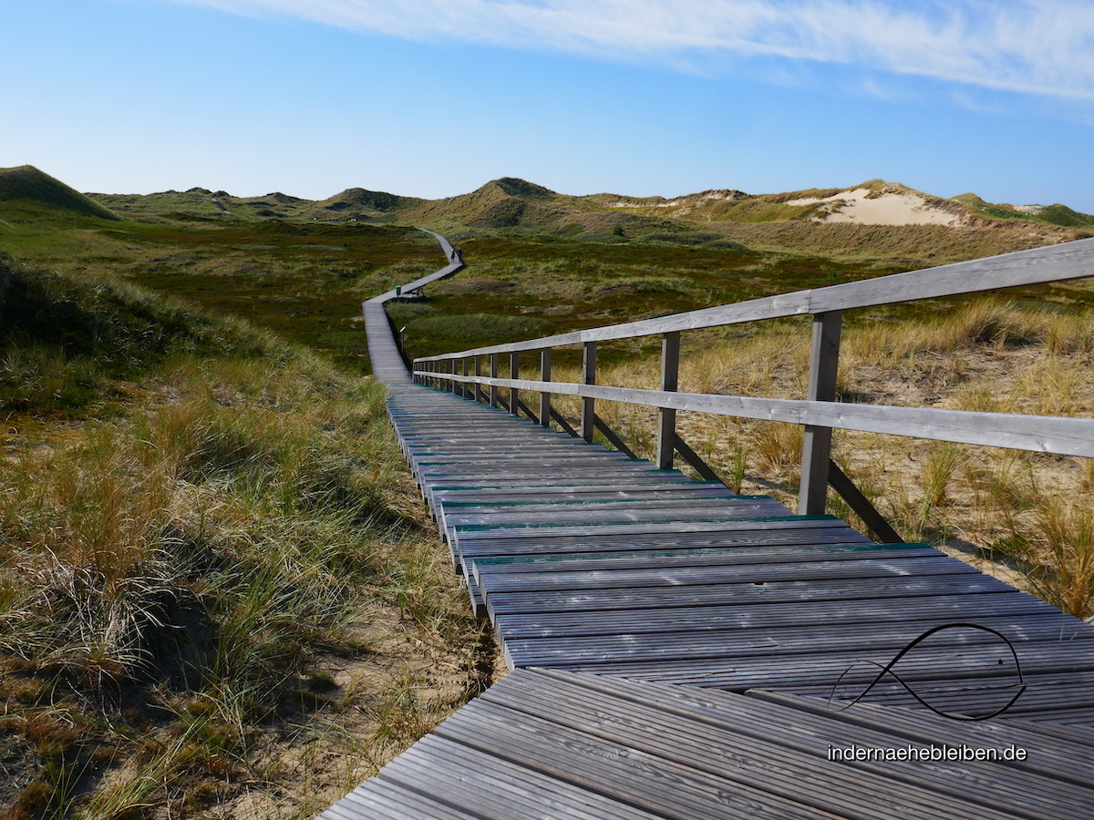 Bohlenwege auf Amrum