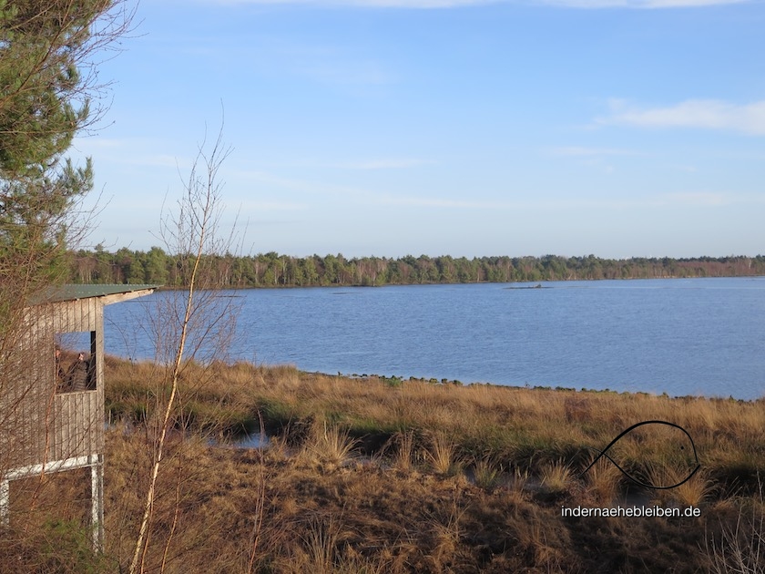 Polder Tister Bauernmoor