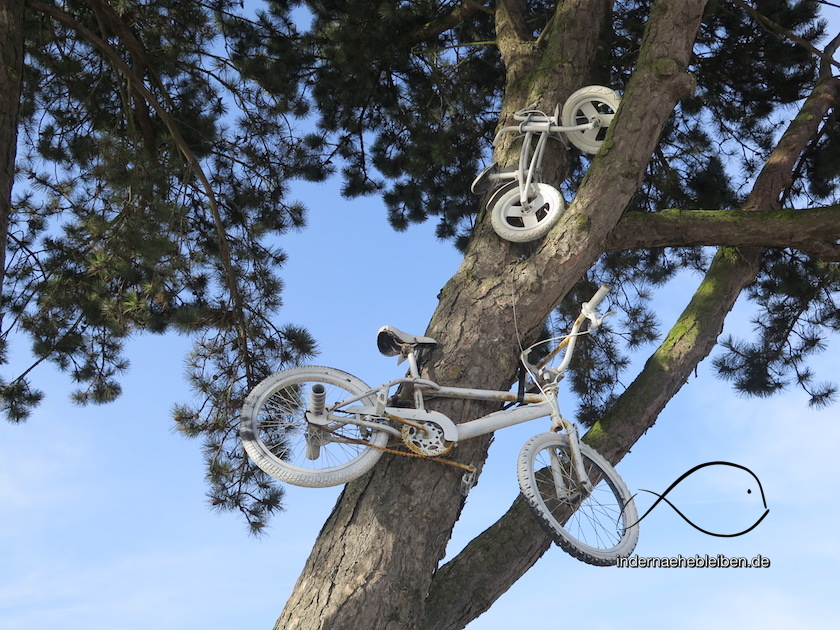 Radfahren