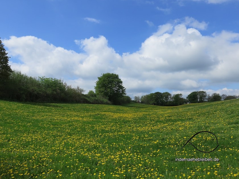 Schilksee