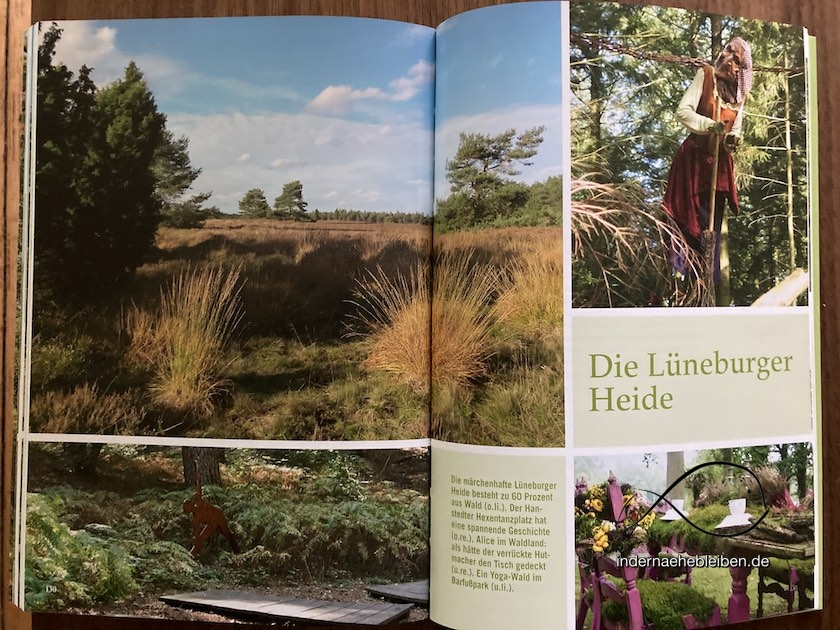 Luenburger Heide