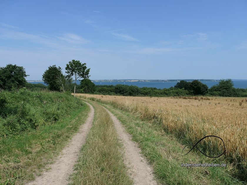 Dollerupholz Wanderweg