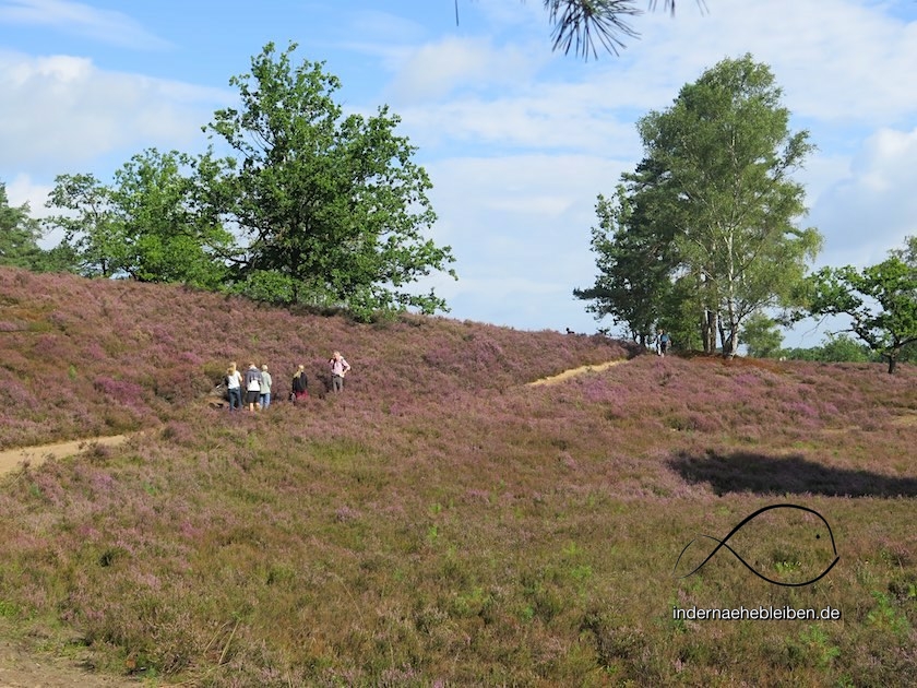 Fischbeker Heide