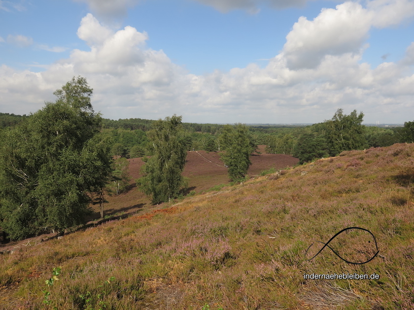 Fischbeker Heide