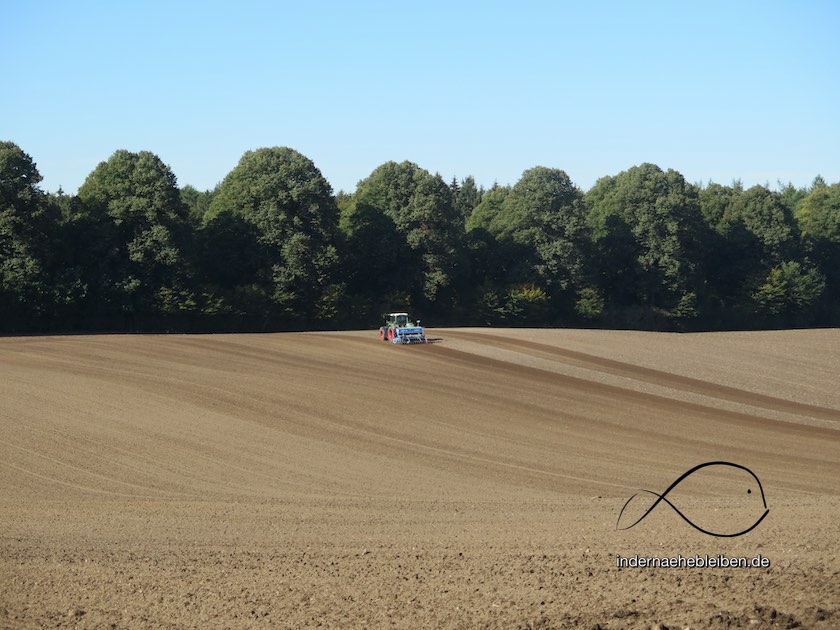 Lauenburg Wandern