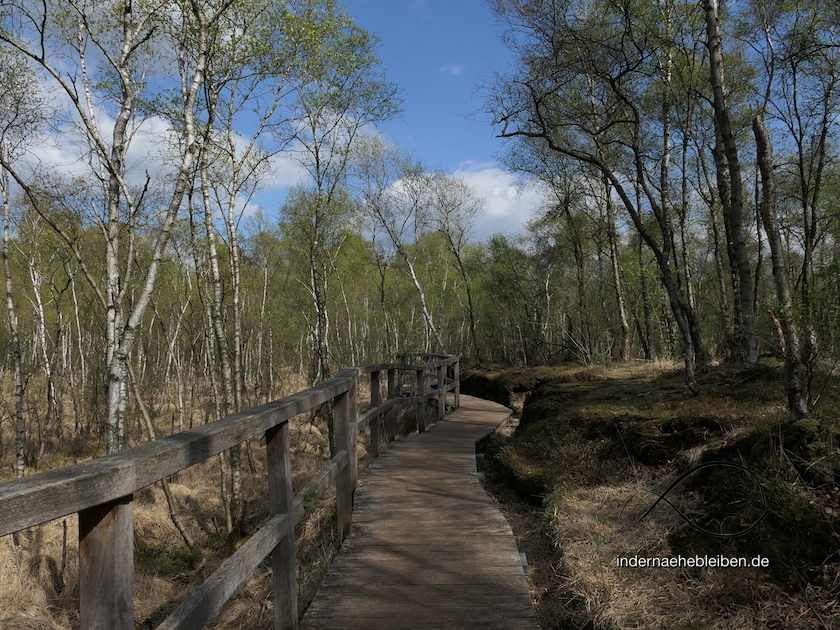 Bohlenweg Himmelmoor