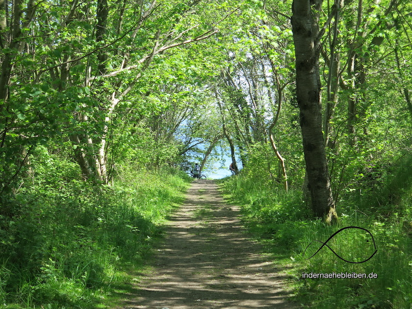 Hohlweg Waabs