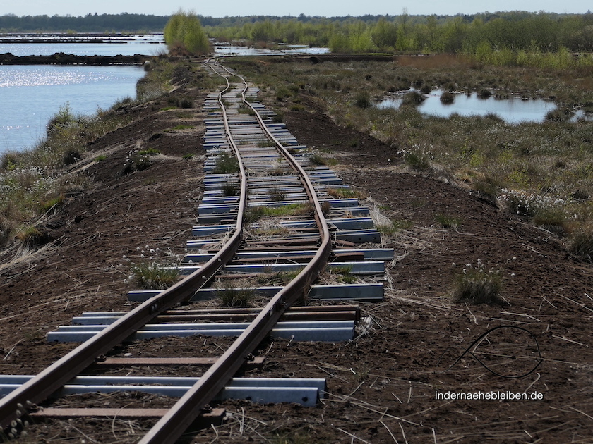 Moorbahn Himmelmoor