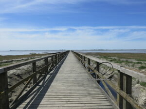 Seebruecke Schobuell
