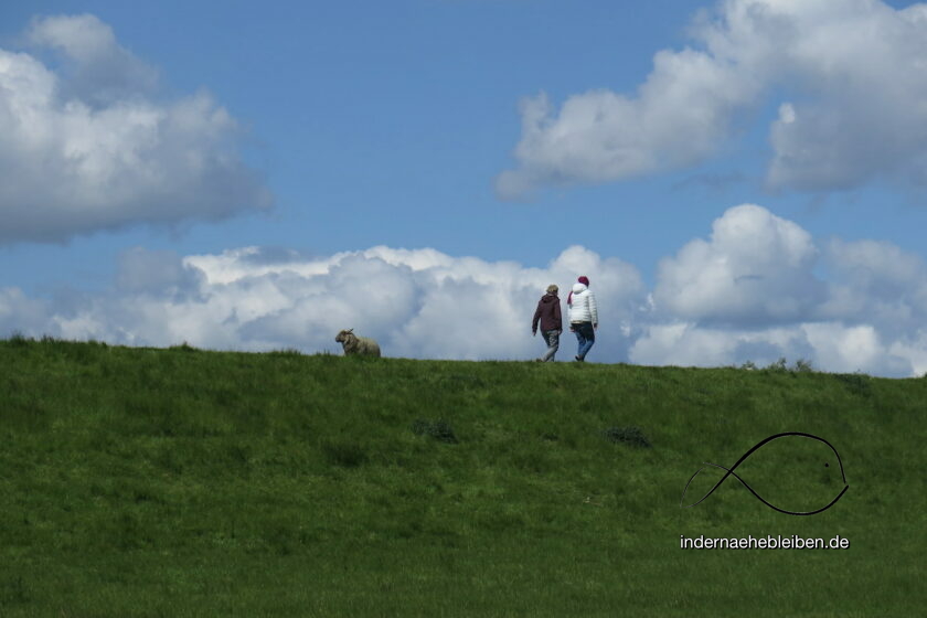 Holsteinische Elbmarschen