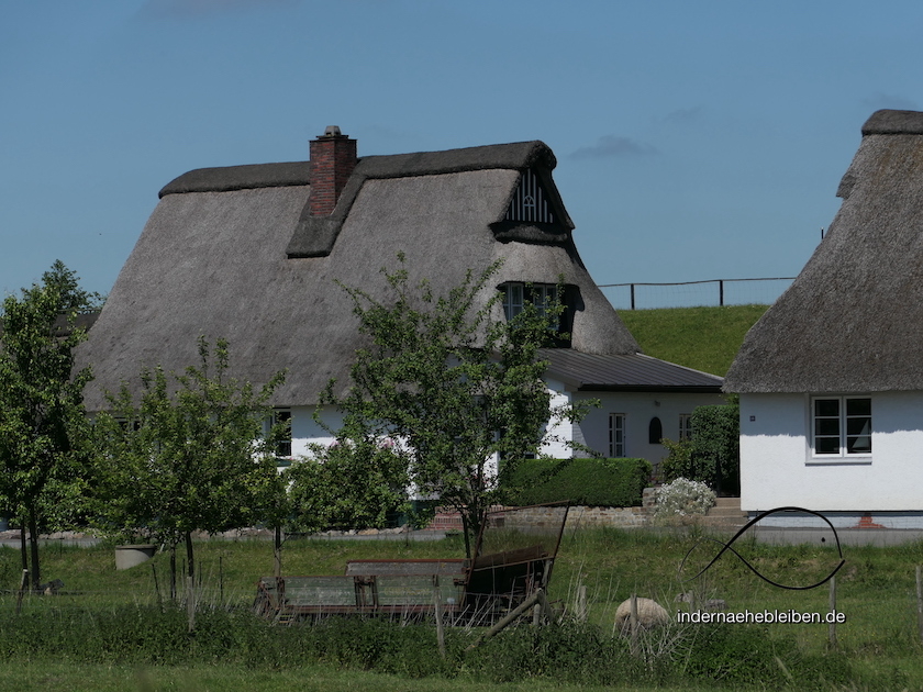 Katen am Deich