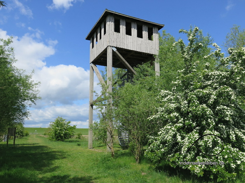 Haseldorf Vogelbeobachtungsturm