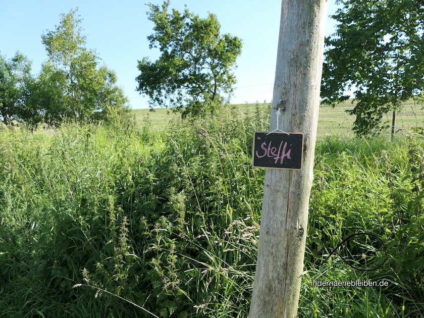 Camping Friedrichskoog