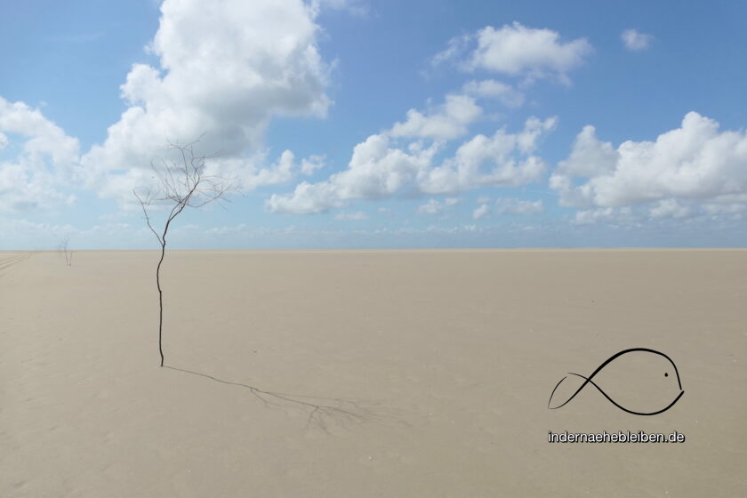 Koresand