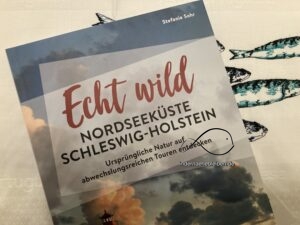 Echt wild Nordseekueste Schleswig-Holstein