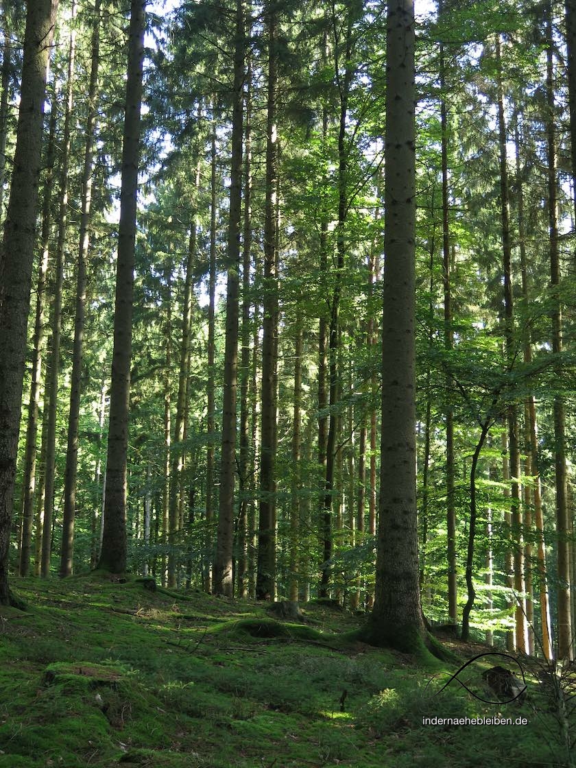 Hahnheide