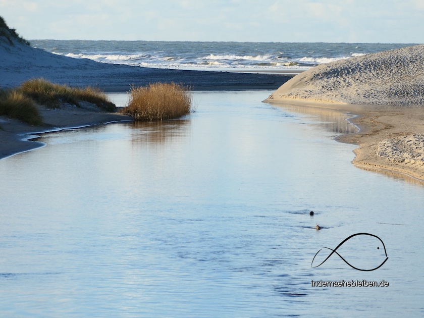 Nordsee