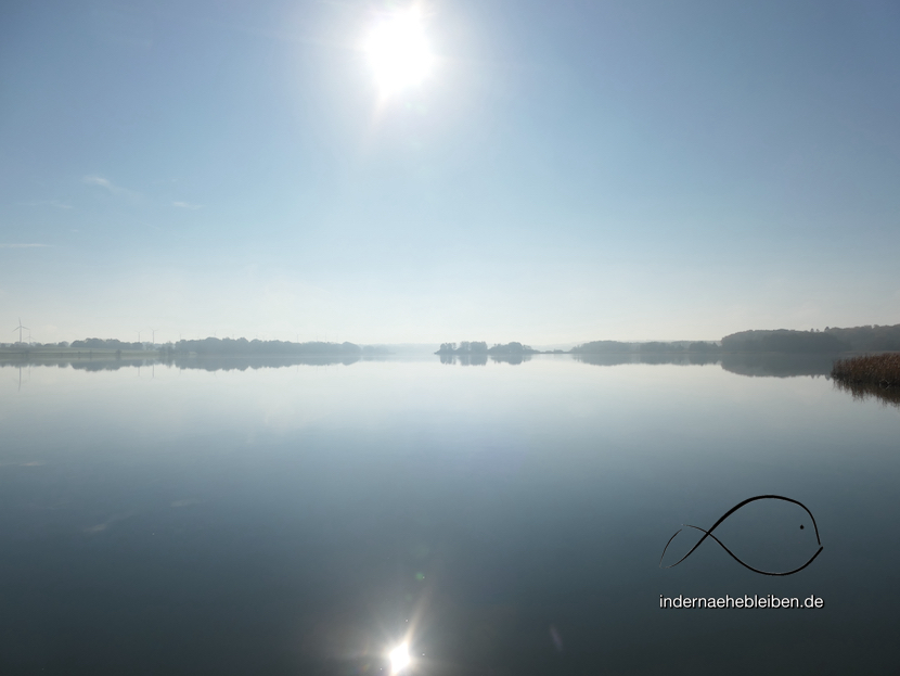Morgens am See