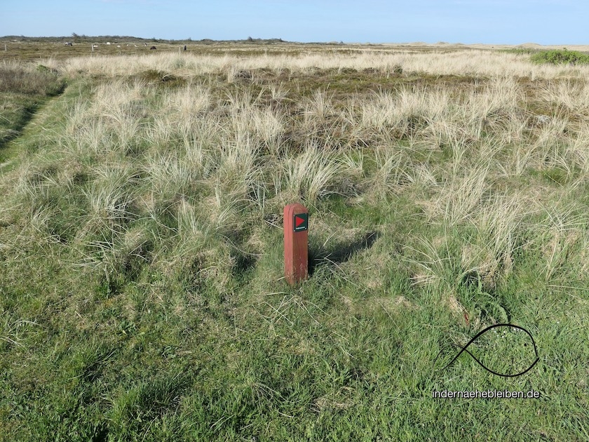 Thy Wandern
