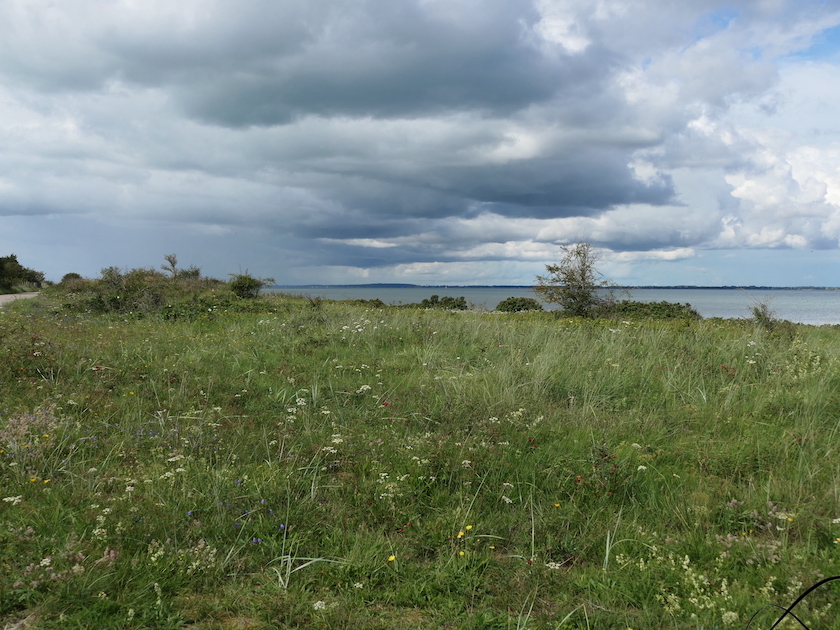 Geltinger Birk Kueste