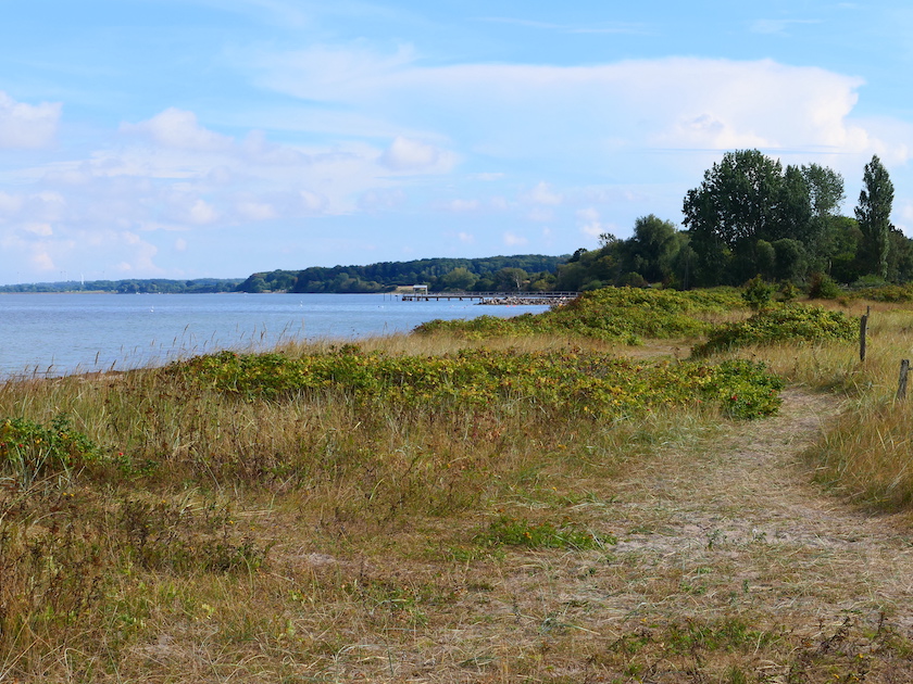 Geltinger Bucht Norgaardholz