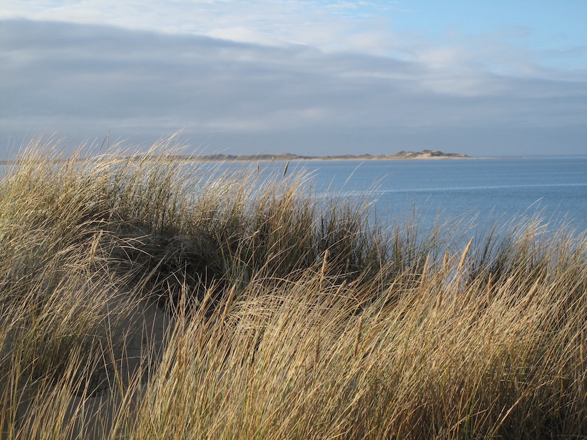 Amrum