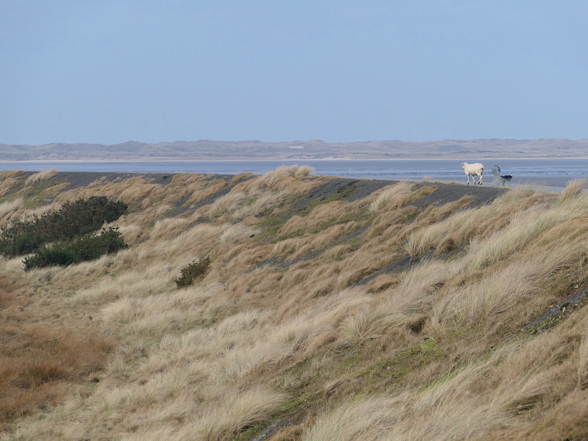Sylt rund