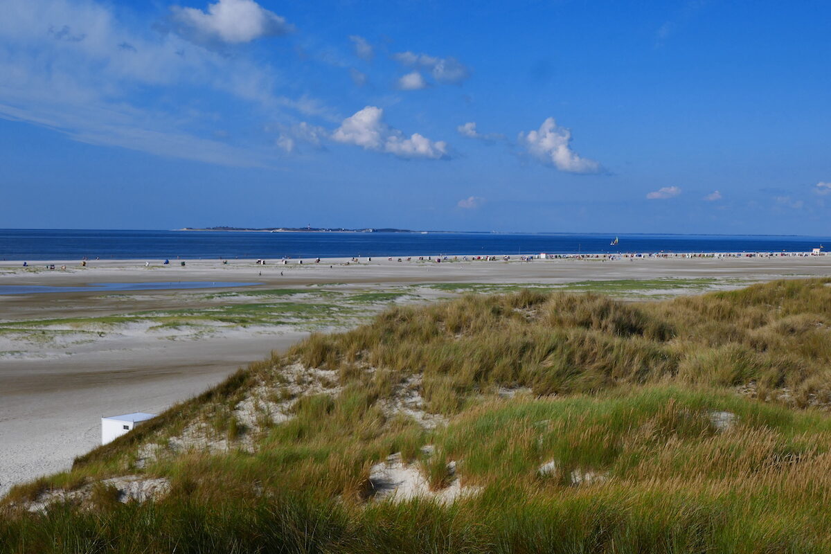 Amrum