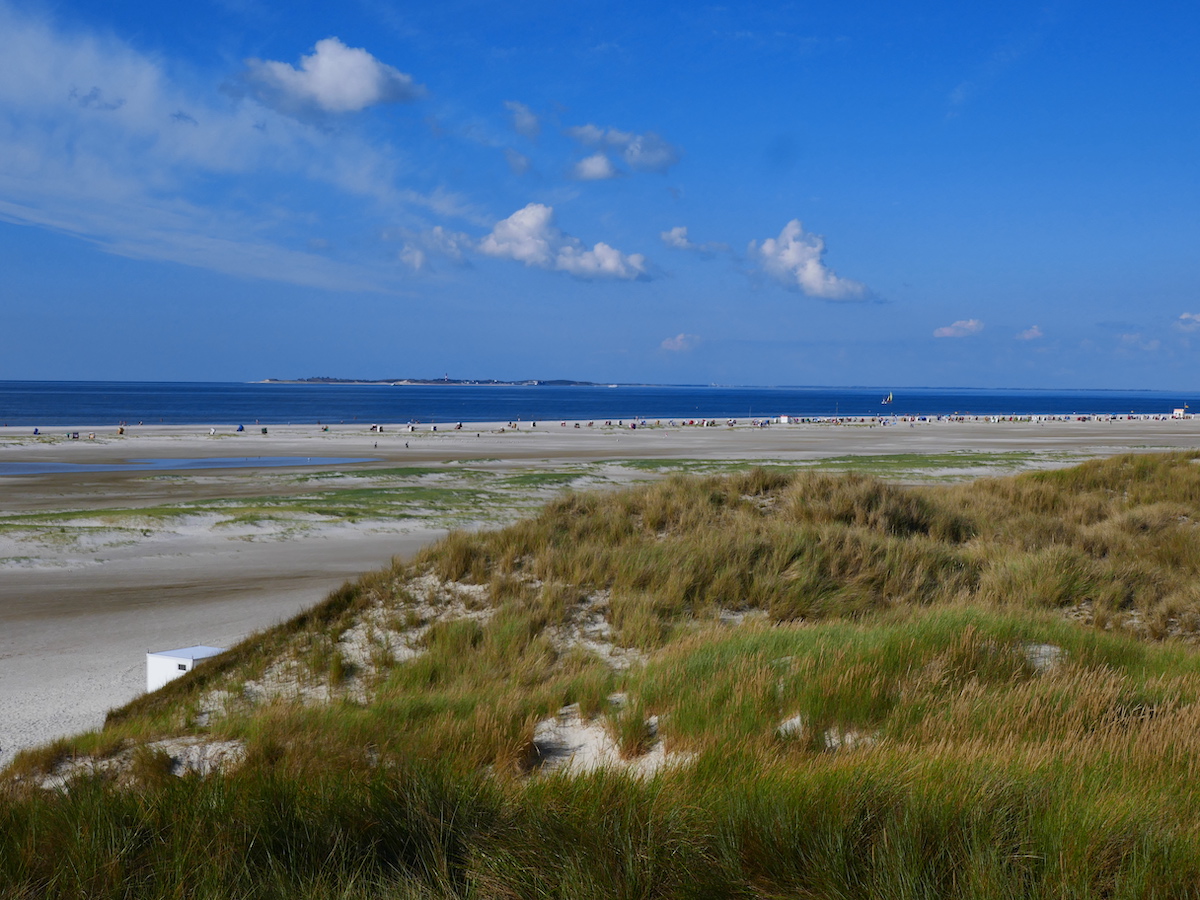 Amrum