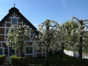 Altes Land