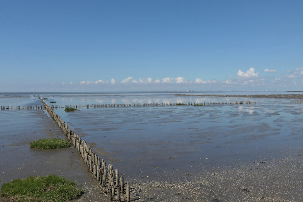 Friedrichskoog