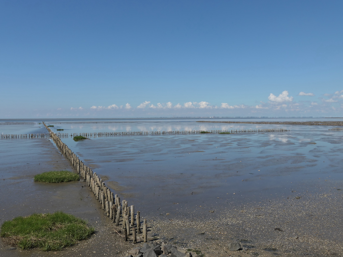 Friedrichskoog