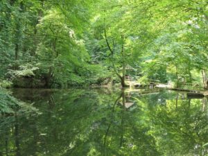 Spiegelteiche